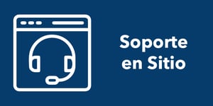 Interlogix Icono Soporte en Sitio-1